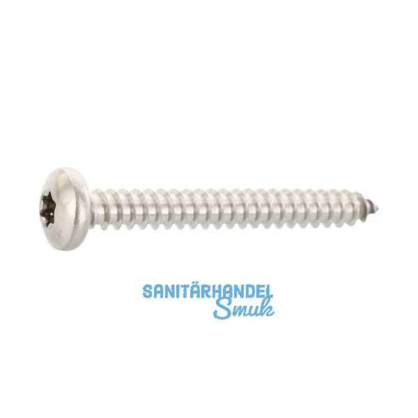 ISO14585 4.2x 45 Torx20 Edelstahl A2 Linsen-Blechschraube ~DIN7981C