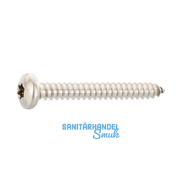 ISO14585 3.9x 22 Torx15 Edelstahl A4 Linsen-Blechschraube ~DIN7981C