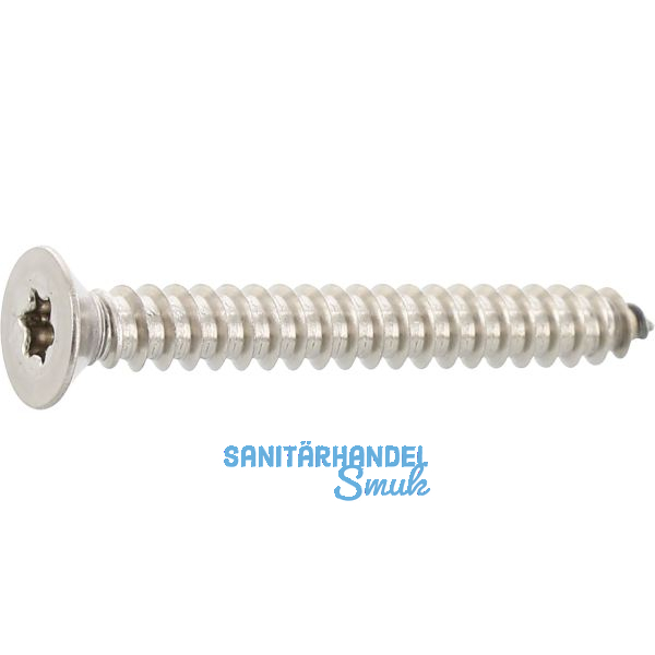 ISO14586 3.9x 16 Torx15 Edelstahl A2 Senkkopf-Blechschraube ~DIN7982