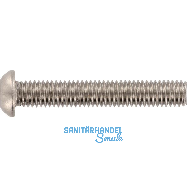 ~ISO7380-1 Sicherheitsschraube FRK M 6x20 mit TX30 und PIN - Edelstahl A2