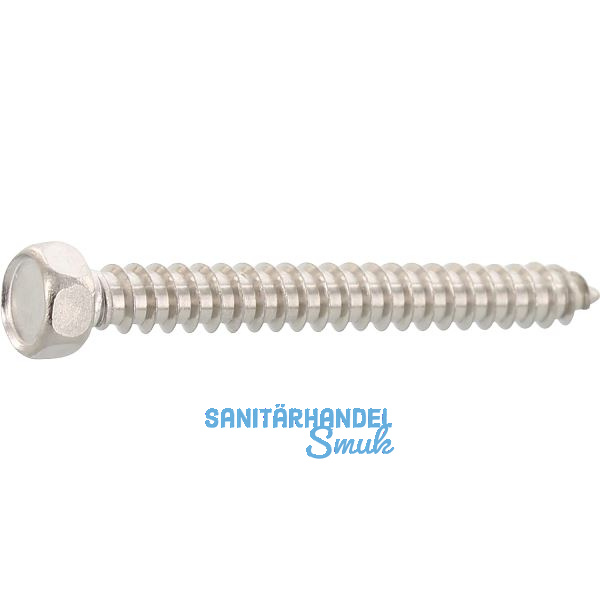 DIN7976C 4.2x 19 Edelstahl A2 Sechskantkopf-Blechschraube ~ISO1479