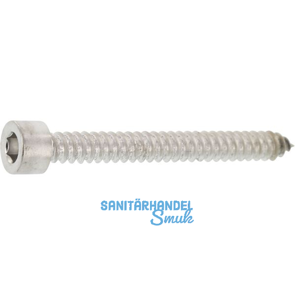 Blechschraube 4.8x 25 Edelstahl A2 mit Zylinderkopf ~912