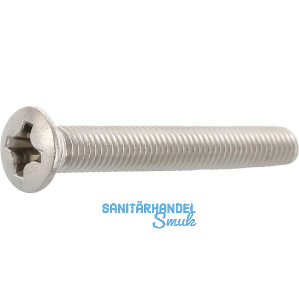 ~ISO7047 M 5x 10 Phillips KS Edelstahl A2 Linsensenkkopfschraube (DIN966A)