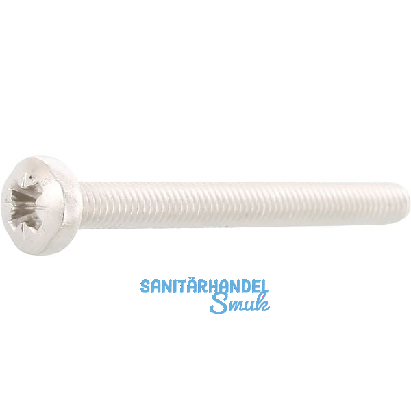 ~ISO7045 M 6x 45 Phillips Kreuzschlitz Edelstahl A2 Linsenschraube (DIN7985A)