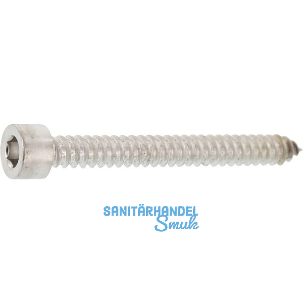 Blechschraube 6.3x 13 Edelstahl A2 mit Zylinderkopf ~912