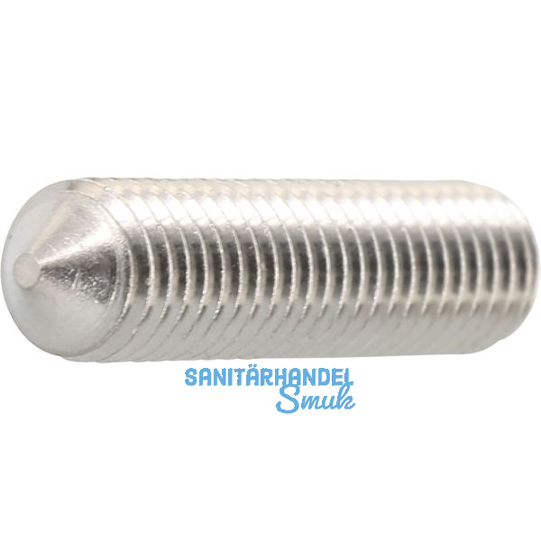 ISO4027 M 5x 5 Edelstahl A2 Gewindestift mit Spitze Innensechskant (DIN914)