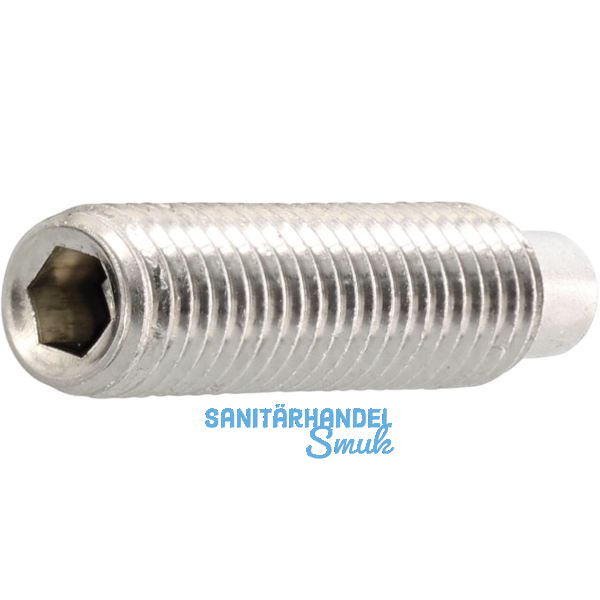 ISO4028 M 6x 10 Edelstahl A2 Gewindestift mit Zapfen Innensechskant (DIN915)