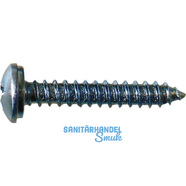 Blechschraube 3.9x 38 Stahl verzinkt mit Zylinderkopf ~7981