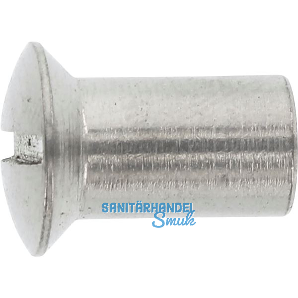 H�lsenmutter Linsensenkkopf M 8x 20 Edelstahl 1.4305 mit Schlitz