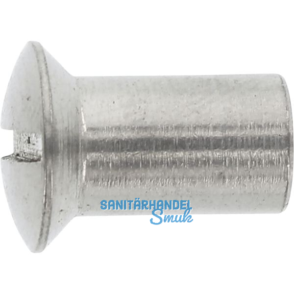 H�lsenmutter Linsensenkkopf M 6x 15 Edelstahl 1.4305 mit Schlitz