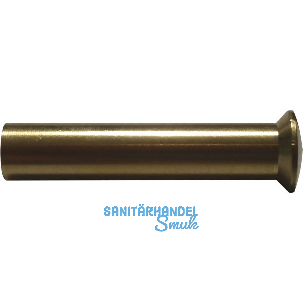 H�lsenmutter Linsenkopf mit Schlitz M4 x 25 Messing blank