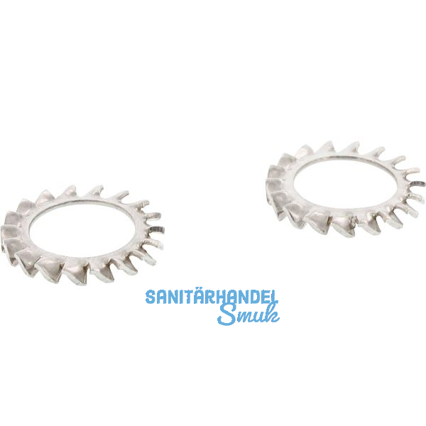 DIN6798 M 5 Edelstahl A4 F�cherscheibe aussengezahnt