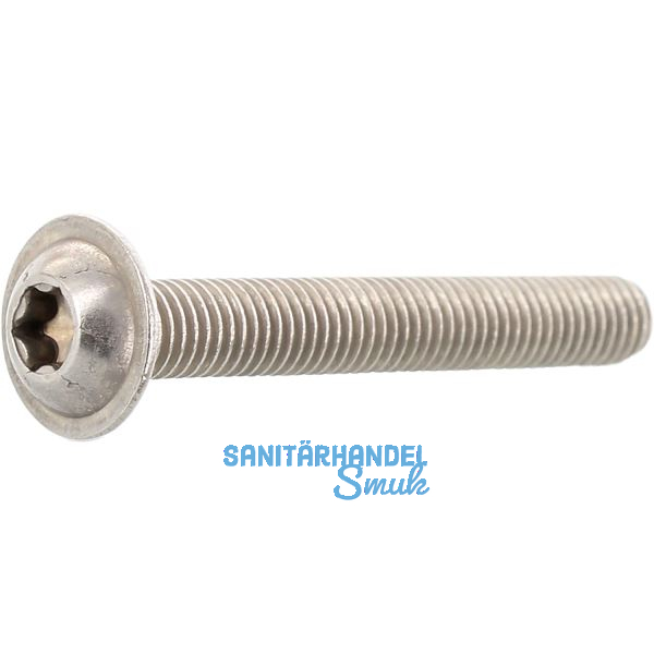 ISO7380-2 M 3x 25 TX10 Edelstahl A2 Linsenschraube Innensechsrund, Vollgewinde