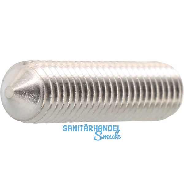ISO4027 M 5x 25 Edelstahl A4 Gewindestift mit Spitze Innensechskant (DIN914)