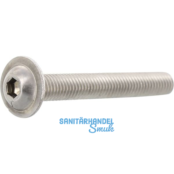 ISO7380-2 M 5x 12 Edelstahl A2-070 Linsenschraube mit Flansch und ISK