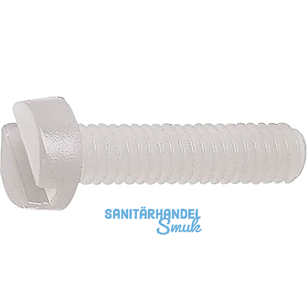 ~ISO1207 M 5x 12 PA 6.6 Polyamid natur Zylinderschraube mit Schlitz (~DIN84A)