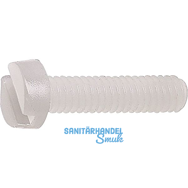 ~ISO1207 M 6x 16 PA 6.6 Polyamid natur Zylinderschraube mit Schlitz (~DIN84A)