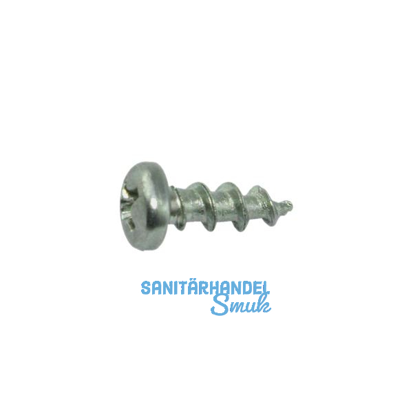 SFS-SPT/14 Beschlagschraube Halbrundkopf 4.3x20 PH 2 Stahl silber f.Kunststoffpr