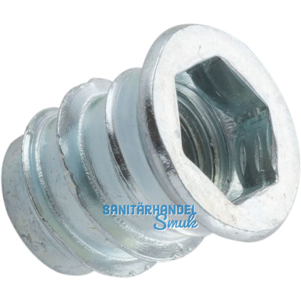 Industrie Einschraubmuffe mit Bund M 6x 13 verzinkt mit Innensechskant