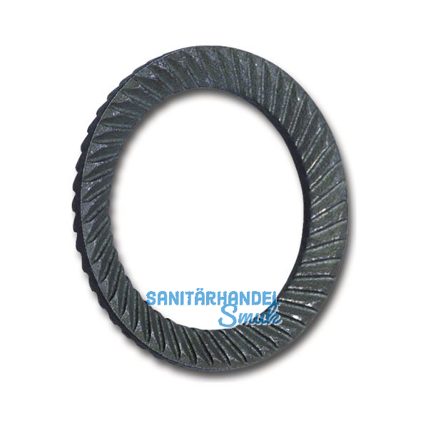 SCHNORR Sicherungsscheibe "S" M24 Federstahl blank