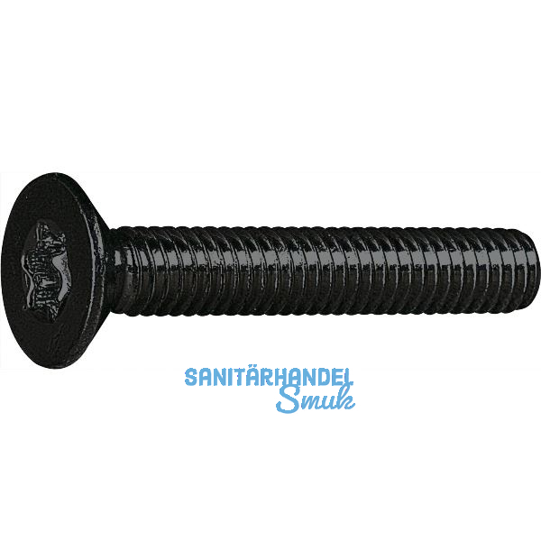 ISO14581 08.8 M 4x12 Torx 20 verzinkt-schwarz Senkschraube