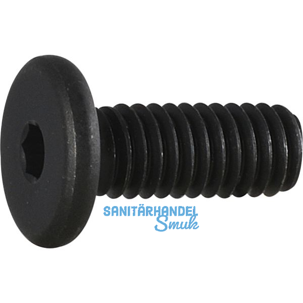 Zylinderschraube mit extrem niedrigem Kopf M 6x 20 G�te 10.9