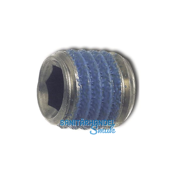 ISO4026 M 8x 6 Edelstahl A2 mit Tuflok-rundumbeschichtung (blau) (DIN913)