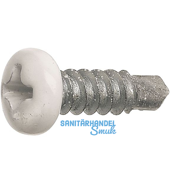 DIN7504N 3.9x 13 Phillips-KS Kopf RAL9010 wei� beschichtet ~ISO15481