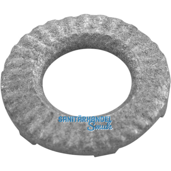 Erdungsscheibe M 6 verzinkt