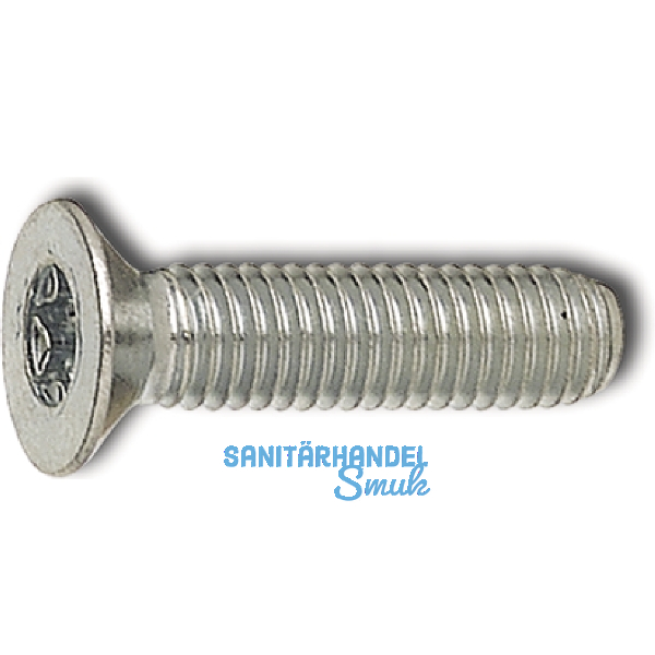 ~ISO10642 010.9 M 5x 35 Torx 25 verzinkt Senkschraube