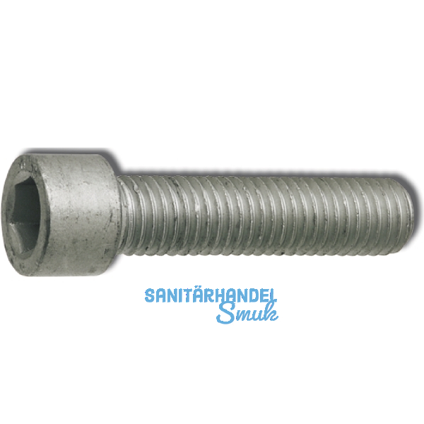 DIN7500EE M 5x30 verzinkt gewindefurchende Zylinderschraube