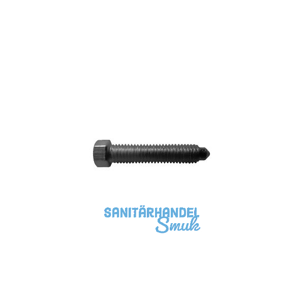 DIN564 M 6x 12 blank Sechskantschraube mit Ansatzspitze
