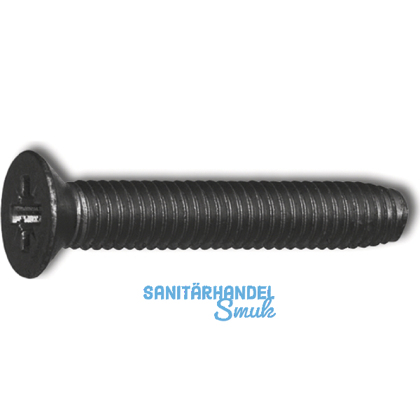 DIN7500M M 4x10 Pozidriv 2 verzinkt schwarz gewindefurchende Senkschraube