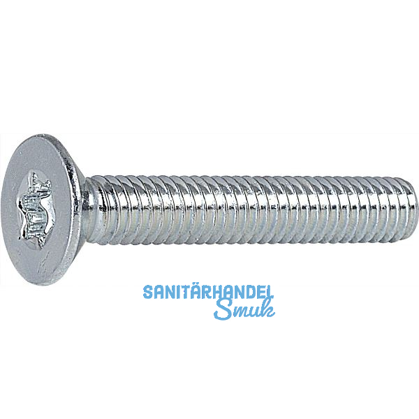 ISO14581 08.8 M 6x40 Torx 30 verzinkt Senkschraube