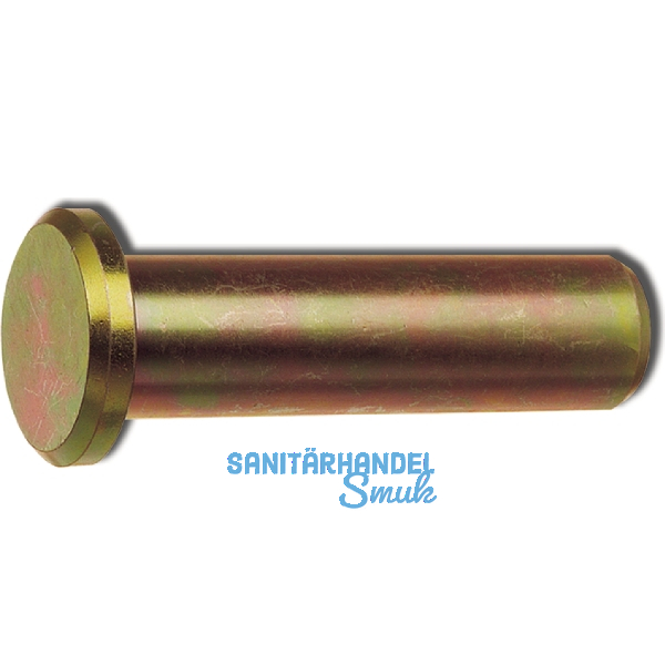 DIN1444 B18H11x65 Bolzen mit Kopf und Splintloch verzinkt