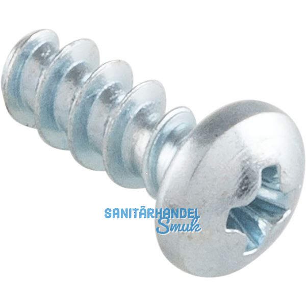 PT-Schraube Halbrundkopf WN1412 KA25 2,5x 5 Ph-KS - verzinkt-blau