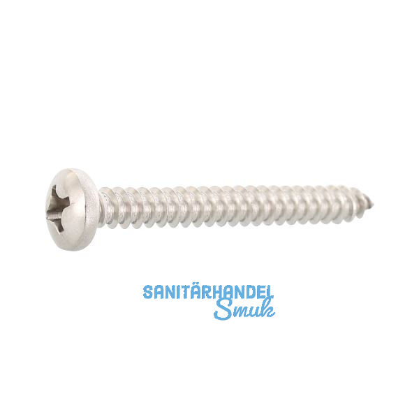 DIN7981C 2.9x 6.5 PH-Kreuzschlitz Edelstahl A4 Linsen-Blechschraube ~ISO7049