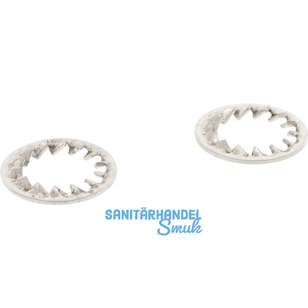 DIN6798J M 4 Edelstahl A4 F�cherscheibe