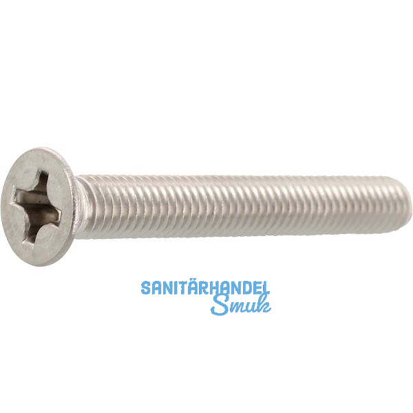 ~ISO7046-2 M 8x 60 Phillips Kreuzschlitz Edelstahl A4 Senkschraube (DIN965A)