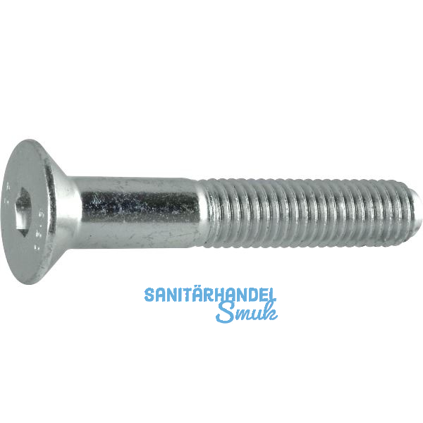 ISO10642 08.8 M 6x 14 verzinkt Senkschraube mit Innensechskant (~DIN7991)