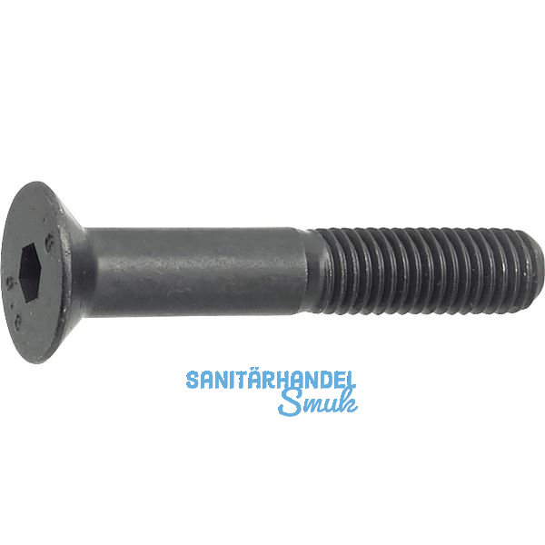 ISO10642 010.9 M 3x 5 blank Senkschraube mit Innensechskant (~DIN7991)