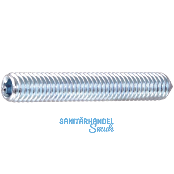 ISO4027 45H M10x 30 verzinkt Gewindestift mit Spitze Innensechskant (DIN914)