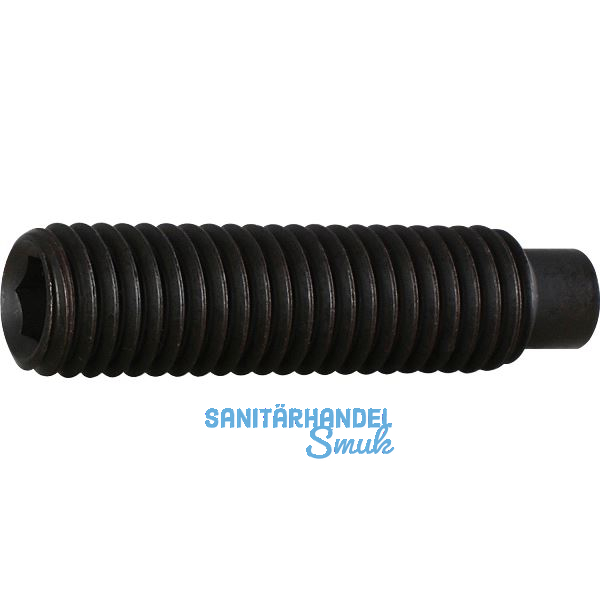 ISO4028 45H M10x 16 blank Gewindestift mit Zapfen und Innensechskant (DIN915)