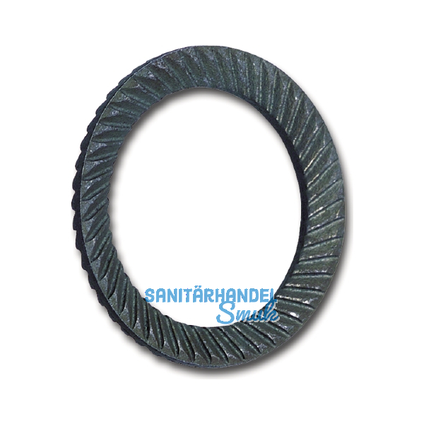 SCHNORR Sicherungsscheibe "S" M12 Federstahl blank