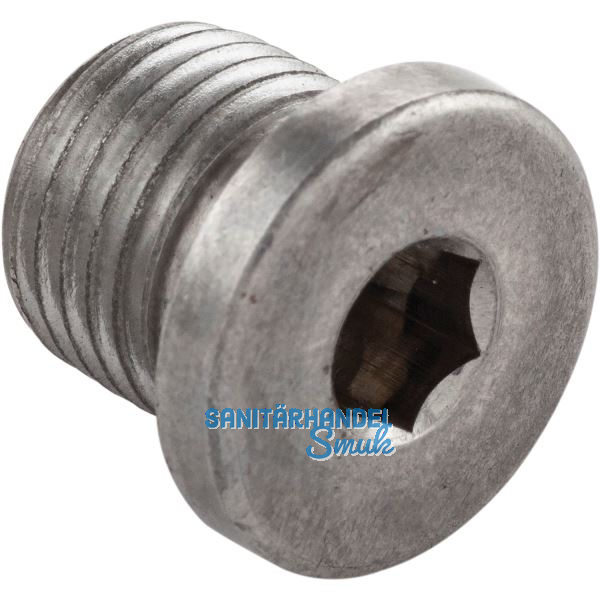 DIN908 5.8 G 1/4" verzinkt Verschlussschraube zylindrisches Rohrgewinde