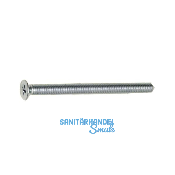 SECOTEC Zylinderbefestigungsschraube mit Spitze M 5X80 verzinkt SB-1 BL4