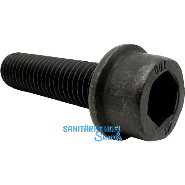 Weima Messerschraube Inbus-Ripp zu Weima