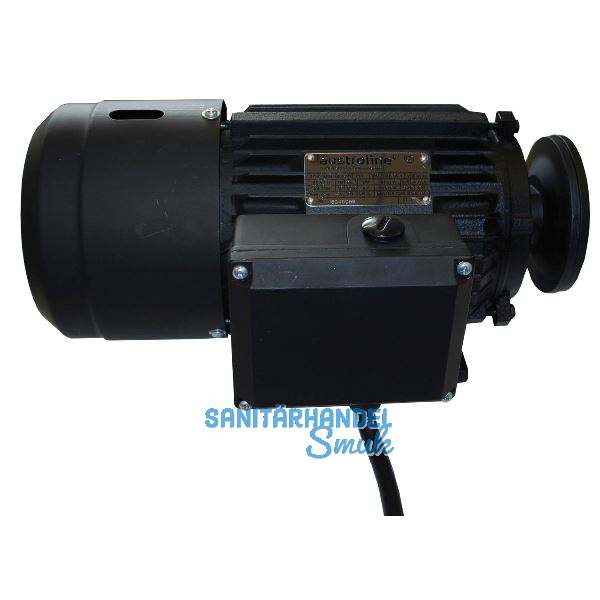 KIENESBERGER Motor zu KBS 450 / KBSH 450