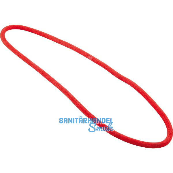 HOMAG Rundriemen 1.050 x 10 12500 - zu B�rtfering AWS