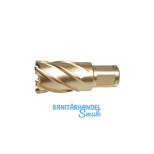 ALFRA Metallkernbohrer � HSS-Co-Eco mit Weldon-Schaft 19 mm DM=34 mm ST=30 mm